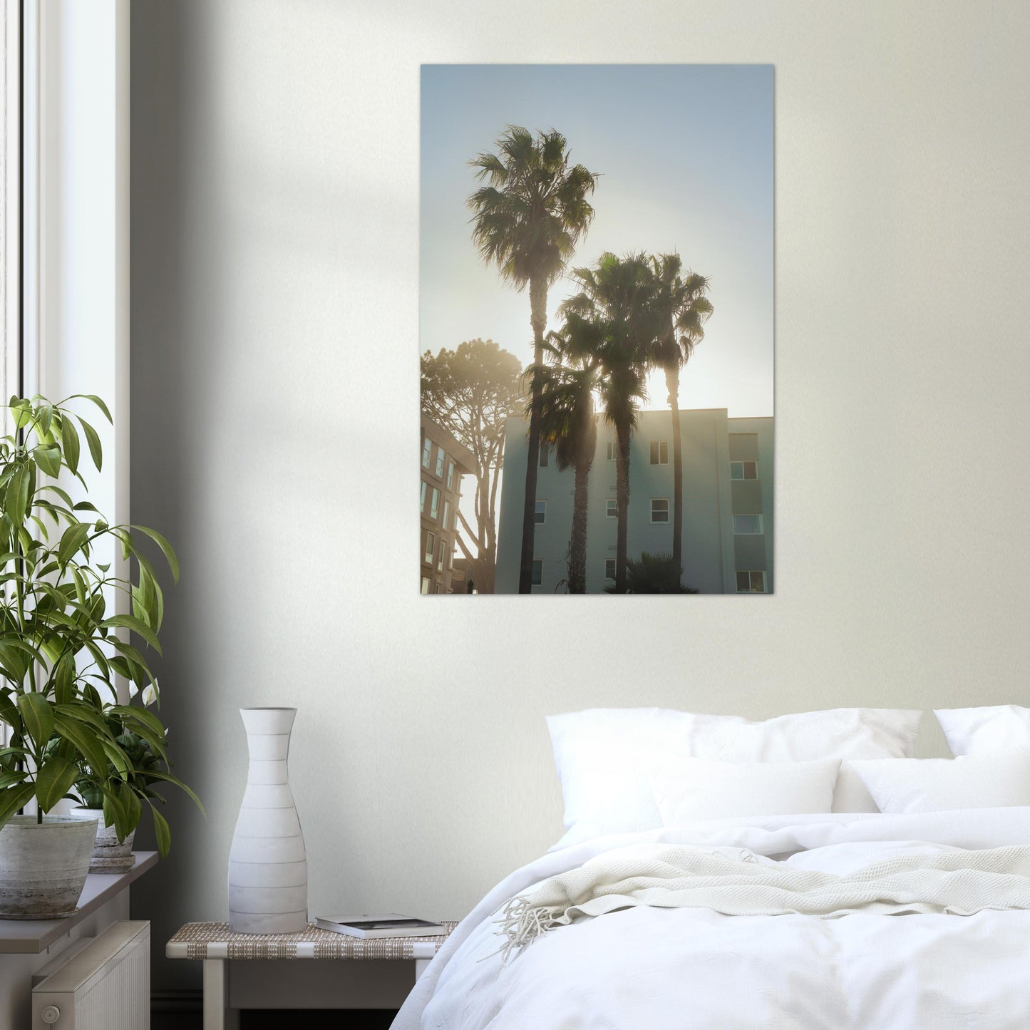 Holy Palm Trees